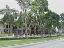 Changi Green (D16), Condominium #1011292